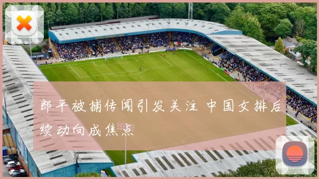 郎平被捕传闻引发关注 中国女排后续动向成焦点